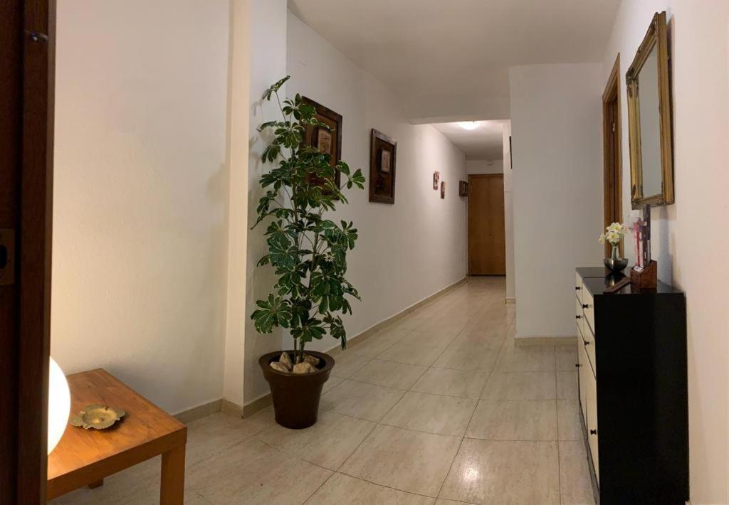 Apartamento Miniloft En La Playa Alicante Exterior foto